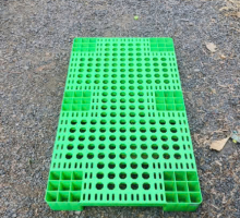 Pallet nhựa 100 x 100 x 60
